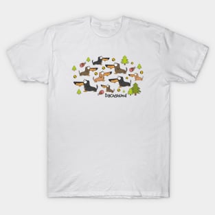 Dachshund t shirts australia hot sale